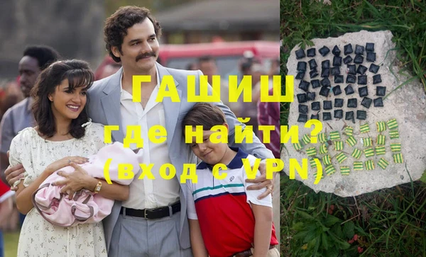 гашик Алексин