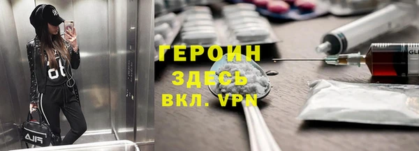 гашик Алексин