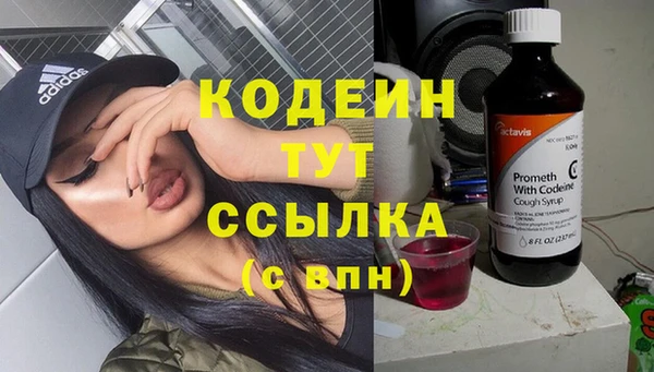 гашик Алексин