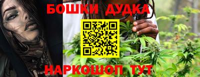 молекула духа Сланцы