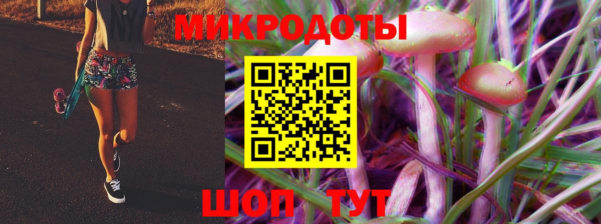 Галлюциногенные грибы Psilocybe Тавда