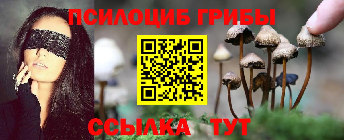 Галлюциногенные грибы прущие грибы  как найти закладки  Псилоцибиновые грибы Psilocybe  Тавда  Вход с VPN 